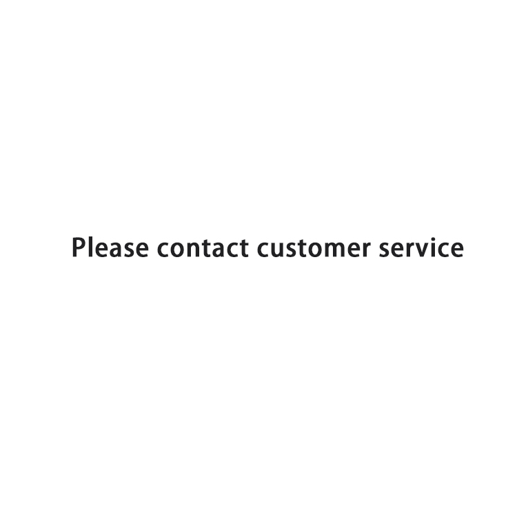 the payment link