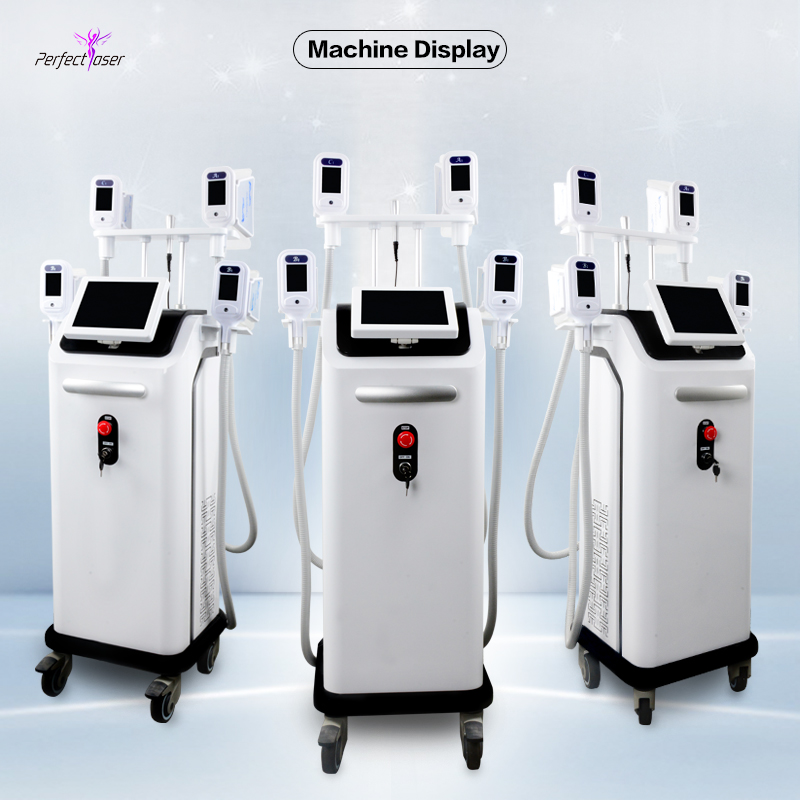 Fat reducing Cryolipolysis cellulite reduction weight loss professional cryo lipolysis slimming machine 4 handles available CE DHL