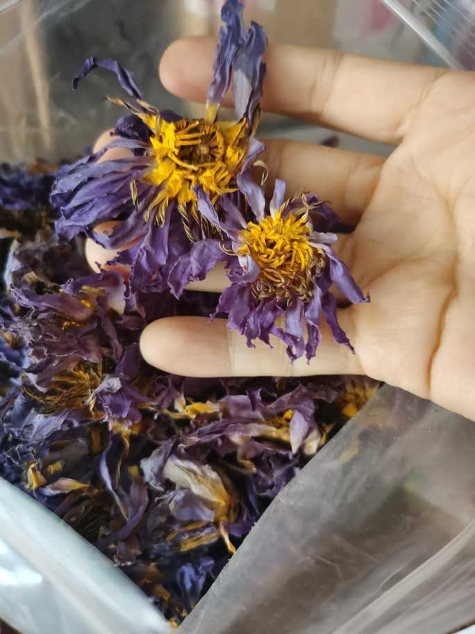 Blue Lotus Dried Whole Flower Blooming Nymphaea Caerulea 210825
