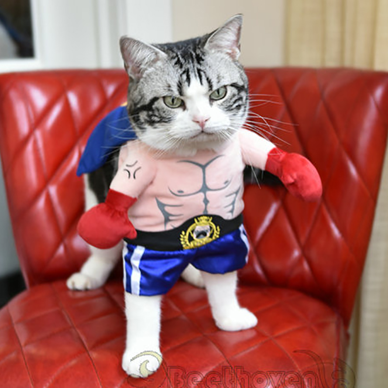 Funny Dog Cat Costumes Boxer Cospay Suit Pet Cothing Haoween Christmas Uniform Cothes For Puppy Dogs Costume for a cat
Funny Dog Cat Costumes Boxer Cospay Suit Pet Cothing Haoween Christmas Uniform Cothes For Puppy Dogs Costume for a cat