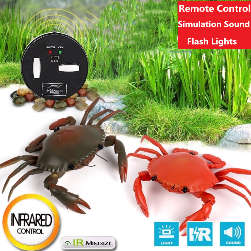 kid Best friend RC Crab Robot eye can flash light with simulation crab sound remote control annimal toy walking running toy, Gray
kid Best friend RC Crab Robot eye can flash light with simulation crab sound remote control annimal toy walking running toy, Gray