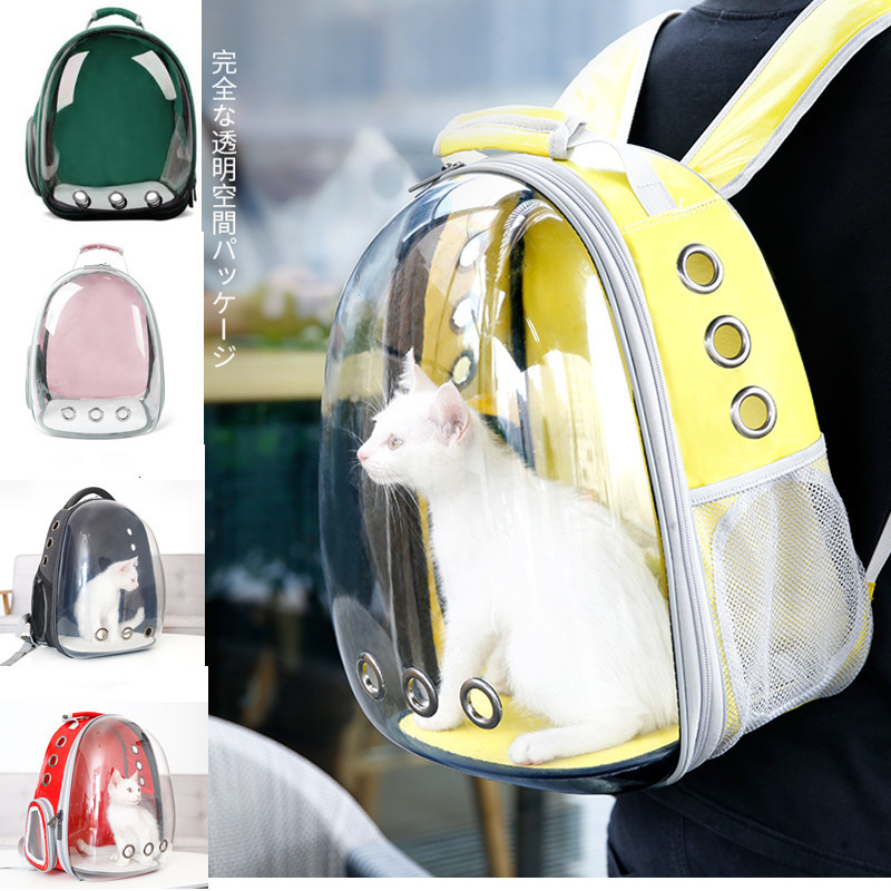2021 New Transparent Animal Backpack, Portable Bag for Carrying Dogs and Cats, with Space, Breathable, Dropshipping Vgu2
2021 New Transparent Animal Backpack, Portable Bag for Carrying Dogs and Cats, with Space, Breathable, Dropshipping Vgu2