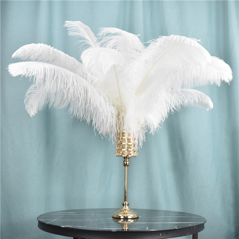 100Pcs/lot Party Decor Natural White Ostrich Feathers 20-25cm Colorful Feather Decoration Wedding Plumage Decorative Celebration
100Pcs/lot Party Decor Natural White Ostrich Feathers 20-25cm Colorful Feather Decoration Wedding Plumage Decorative Celebration