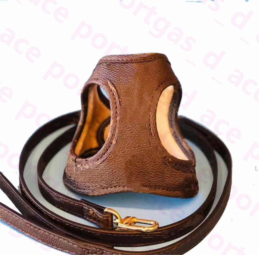 Genuine Leather Dog Harnesses Leashes Vintage Blossoming Dogs Cats Harness Set Pomeranian Corgi Bulldog Chihuahua Schnauzer Outdoor Leash
Genuine Leather Dog Harnesses Leashes Vintage Blossoming Dogs Cats Harness Set Pomeranian Corgi Bulldog Chihuahua Schnauzer Outdoor Leash