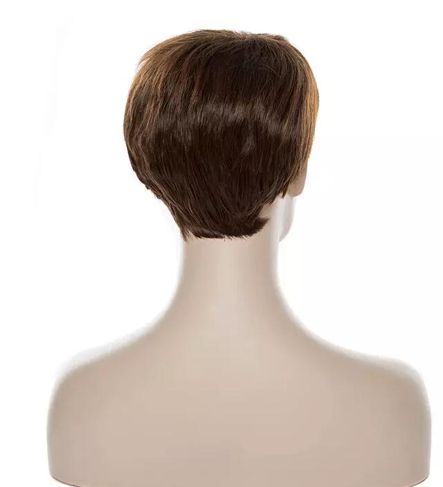 Elegant Short Synthetic Straight Brown Hairstyle Hightemperature Hair Wig for Women's Daily Life Cosplay