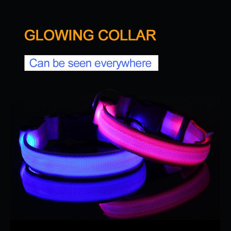 Dog Collars & Leashes Pet LED Collar Harness Usb Rechargeable Luminous Night Glow Flashing XS-L