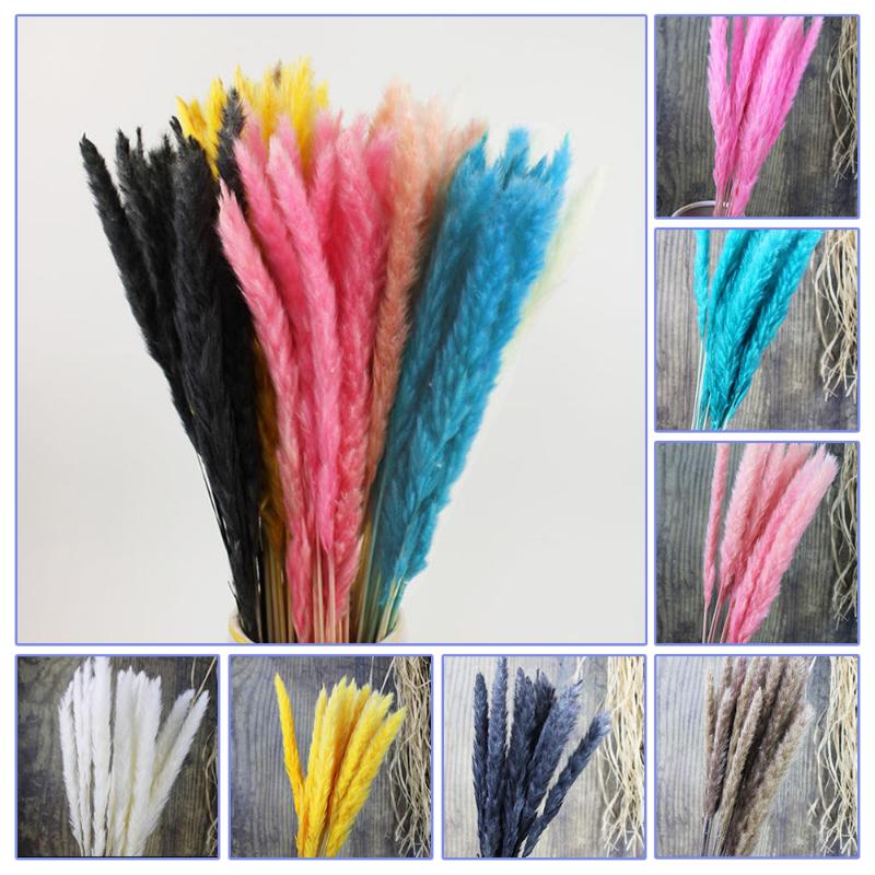 2021 New 15 PCS Natural Dried Pampas Grass Reed Home Wedding Flower Plant Bunch DIY Decor Lifelike Simulation Flower Decoration, Blue
2021 New 15 PCS Natural Dried Pampas Grass Reed Home Wedding Flower Plant Bunch DIY Decor Lifelike Simulation Flower Decoration, Blue