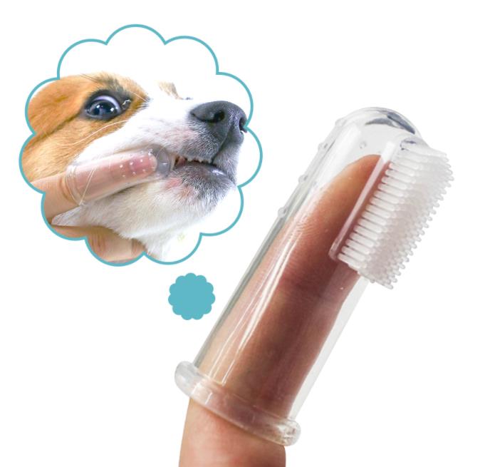 Super Soft Pet Finger Toothbrush Teddy Dog Brush Bad Breath Tartar Teeth Care Tool Dog Cat Cleaning Silicagel Pet Supplies
Super Soft Pet Finger Toothbrush Teddy Dog Brush Bad Breath Tartar Teeth Care Tool Dog Cat Cleaning Silicagel Pet Supplies