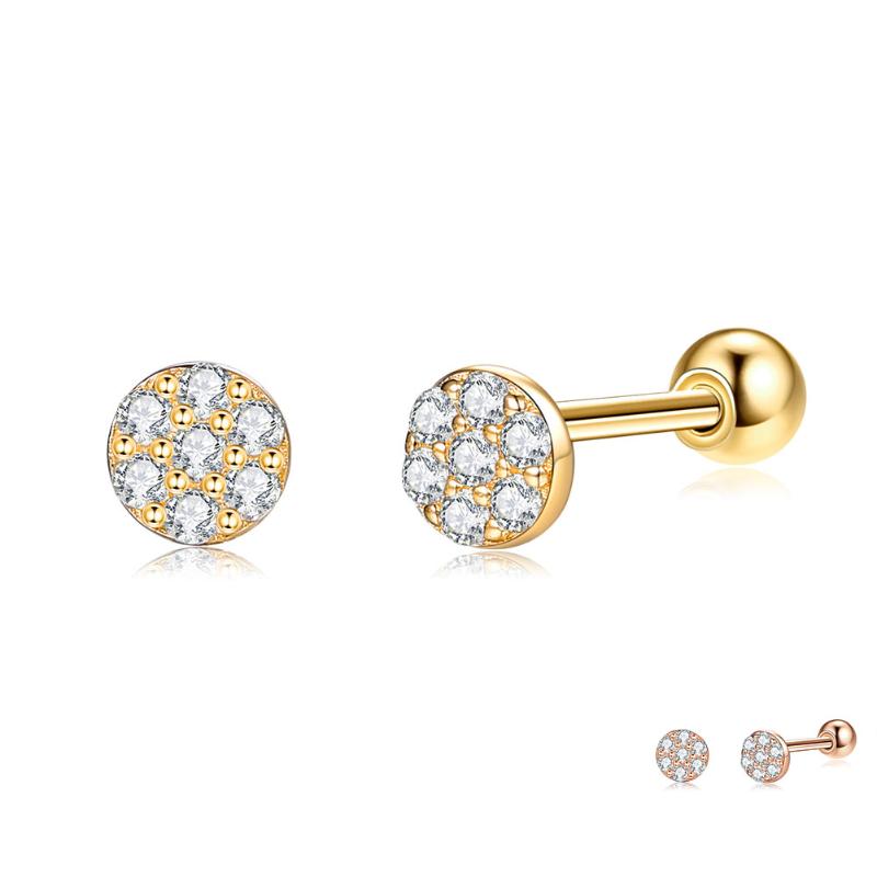 Stud SILVERHOO Round 925 Sterling Silver Earrings Women Full Clear Cubic Zirconia Small Earring Female Rose Gold Fine Jewelry
Stud SILVERHOO Round 925 Sterling Silver Earrings Women Full Clear Cubic Zirconia Small Earring Female Rose Gold Fine Jewelry