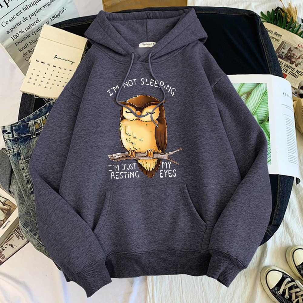 Cute Owl I'M Not Sleeping Im Just Resting My Eyes Tracksuits Male Warm Mens Hoodies Harajuku Sweatshirts Loose Pullover Male Y0804