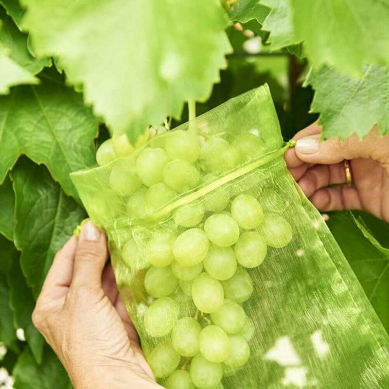 Other Garden Supplies 100pcs Mesh Bags Grape Protection Netting Bag For Protecting Fruits Vegetable Soaking S-eeds