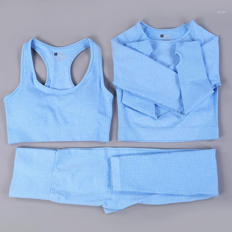 3pcsWomen Seamless Yoga Set Fitness Sports Suits GYM Cloth Long Sleeve Shirts High Waist Running Leggings Workout Clothing Outfit, Blue
3pcsWomen Seamless Yoga Set Fitness Sports Suits GYM Cloth Long Sleeve Shirts High Waist Running Leggings Workout Clothing Outfit, Blue