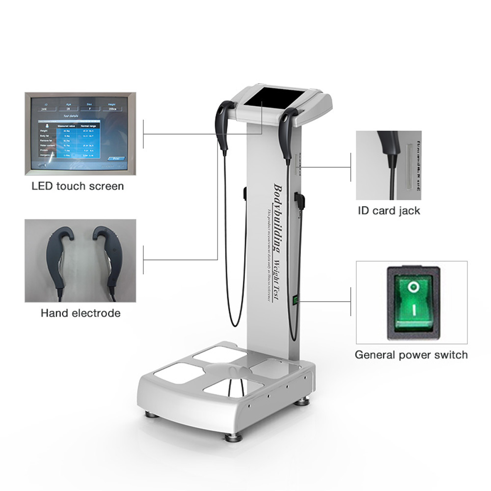 Human Body Composition Analyzer Bioelectrical Impedance Analysis beauty Equipment