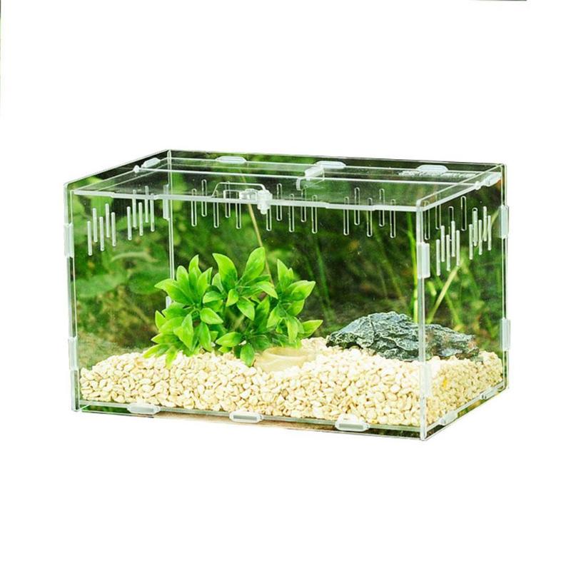 Aquariums Terrarium Box Transparent Reptile Breeding Tank Insect Acrylic Feeding Pet Climbing Carrier For Spiders Scorpions
Aquariums Terrarium Box Transparent Reptile Breeding Tank Insect Acrylic Feeding Pet Climbing Carrier For Spiders Scorpions