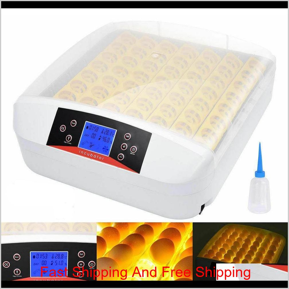 56 Chicken Duck Eggs Incubator Fully Automatic Led Light Digital Turning W/Candler Light 110V/220V Ywhnk 3Iujv 2Puxk 
56 Chicken Duck Eggs Incubator Fully Automatic Led Light Digital Turning W/Candler Light 110V/220V Ywhnk 3Iujv 2Puxk