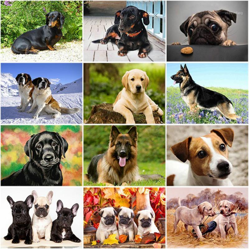 Paintings DIY Dog 5D Diamond Painting Cross Stitch Animal Embroidery Kit Mosaic Full Round Drill Rhinestone Home Decor
Paintings DIY Dog 5D Diamond Painting Cross Stitch Animal Embroidery Kit Mosaic Full Round Drill Rhinestone Home Decor