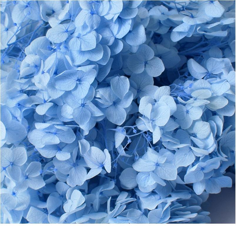 5g/lot Hydrangea Real Dried Flower Dry Plants For Aromatherapy Candleepoxy Pendant Necklace Jewelry Making Craft Diy Acc jllInL
5g/lot Hydrangea Real Dried Flower Dry Plants For Aromatherapy Candleepoxy Pendant Necklace Jewelry Making Craft Diy Acc jllInL