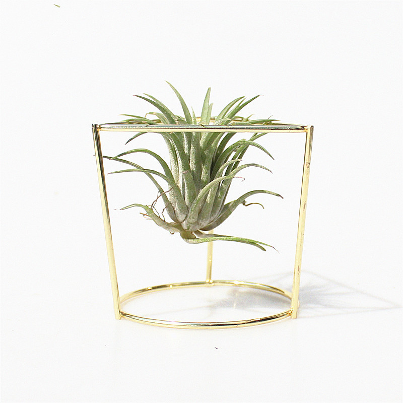 Newly Flower Pot Geometric Metal Rack Plant Care Display Holder Stand Garden Decor RRD6676 Free shipping