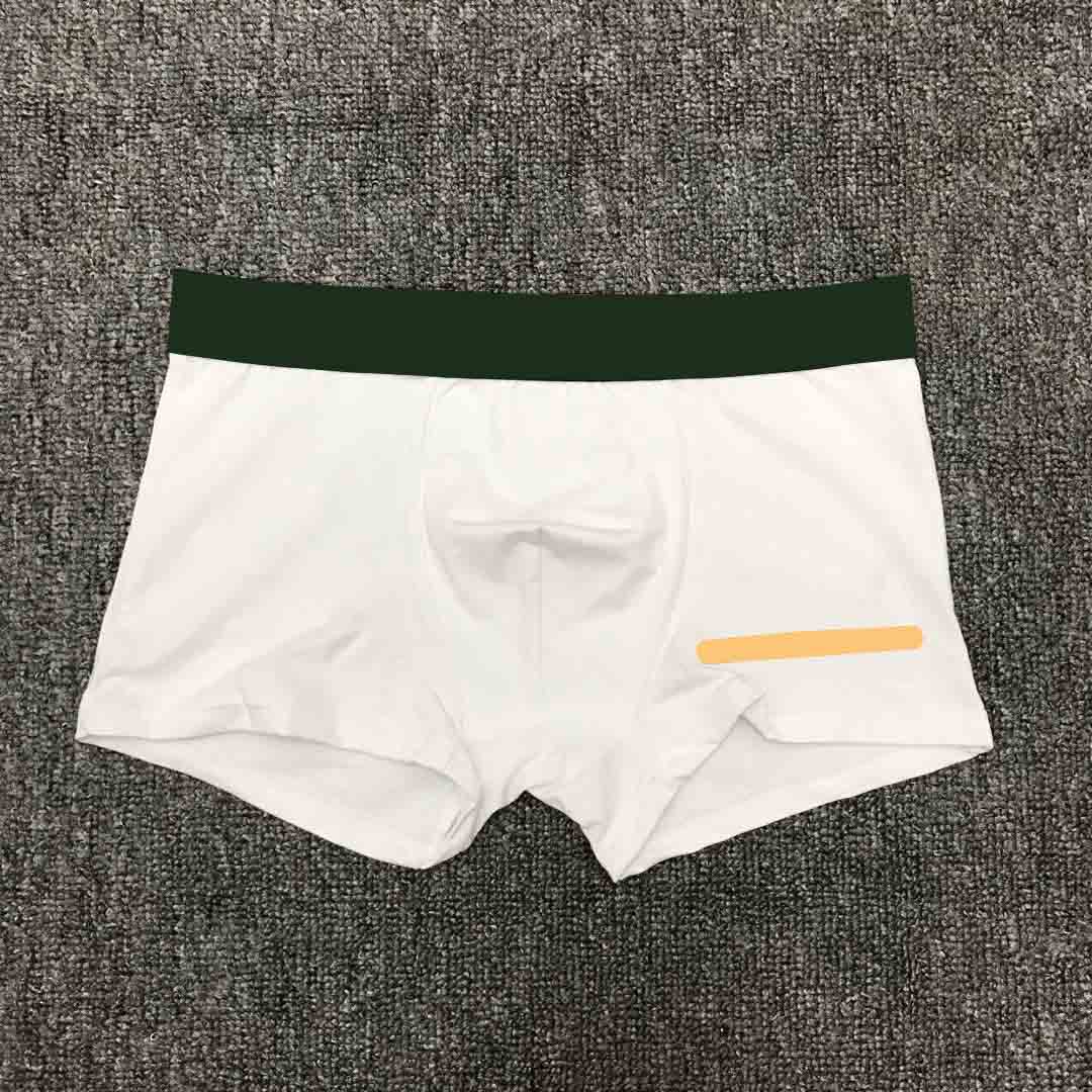 Mens Letters Underpants Boys Hiphip Pattern Boxers Classic Printing Underwears for Wholesale 6 Colors