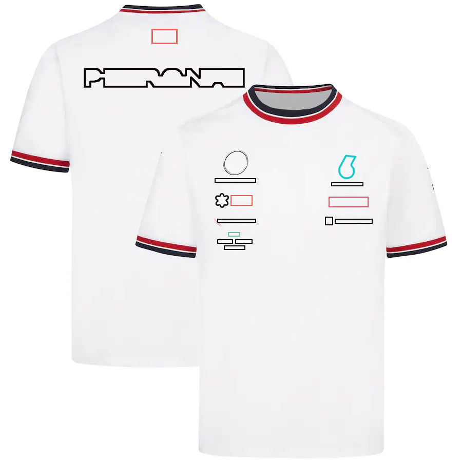 2022 summer new F1 racing suit T-shirt team polo shirt short-sleeved custom clothes free shipping