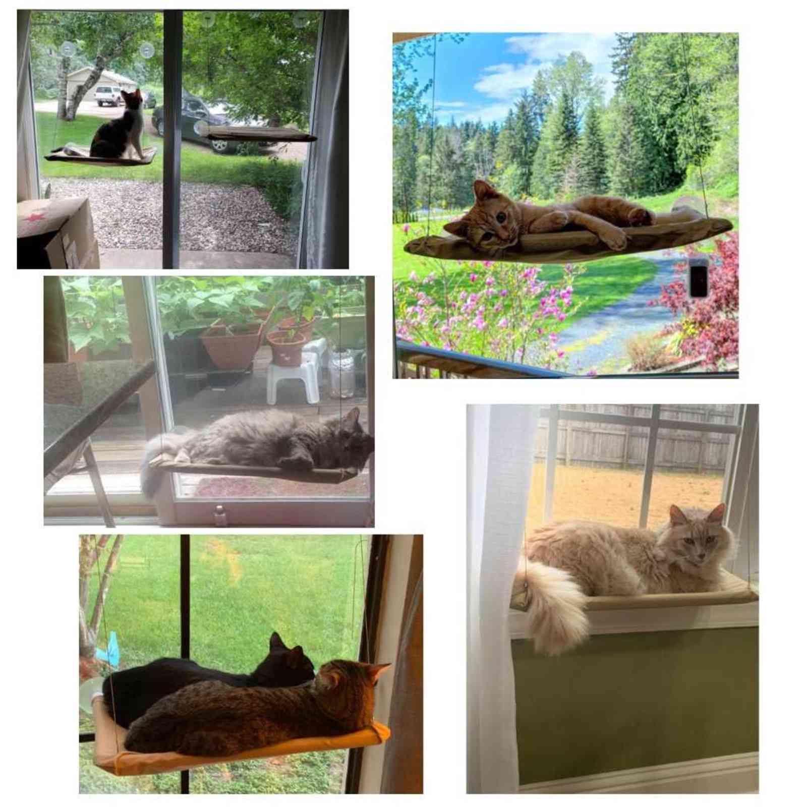 Window-Mounted Cat Hammock: Cozy Cat Nap Spot Designed for Optimal Relaxation & Safety