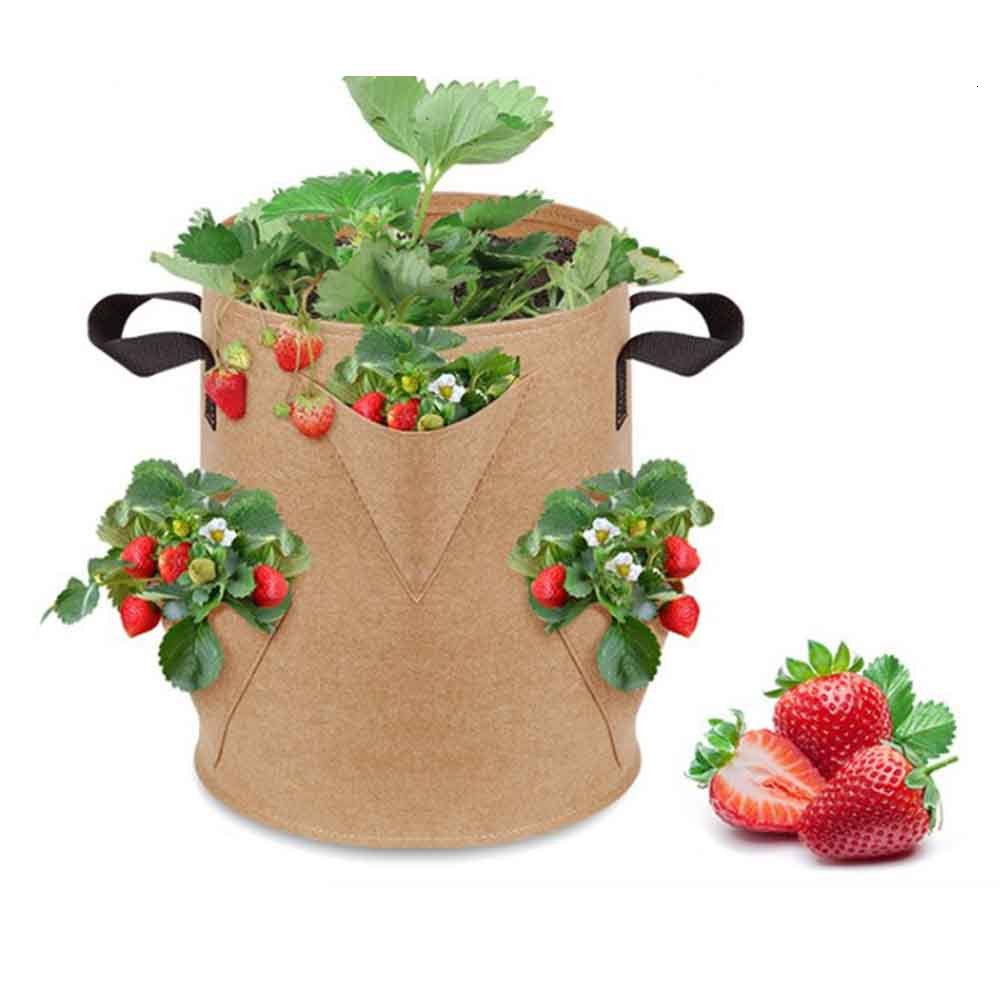 2021 New Non Woven Multi Port Seedling Raising Flower Bag Potato Plant Planting Container D6b1
2021 New Non Woven Multi Port Seedling Raising Flower Bag Potato Plant Planting Container D6b1