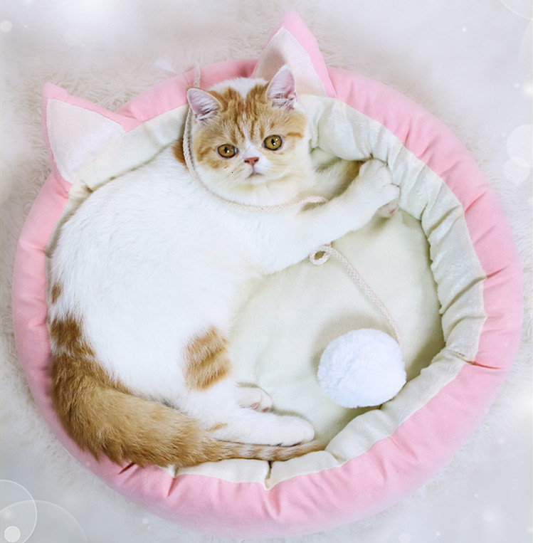 2021 New Beds Form of Animated Cartoons Sofa Canine Dog Soft Furry Sleeping Bag Pet House Cat Bed S5ay
2021 New Beds Form of Animated Cartoons Sofa Canine Dog Soft Furry Sleeping Bag Pet House Cat Bed S5ay