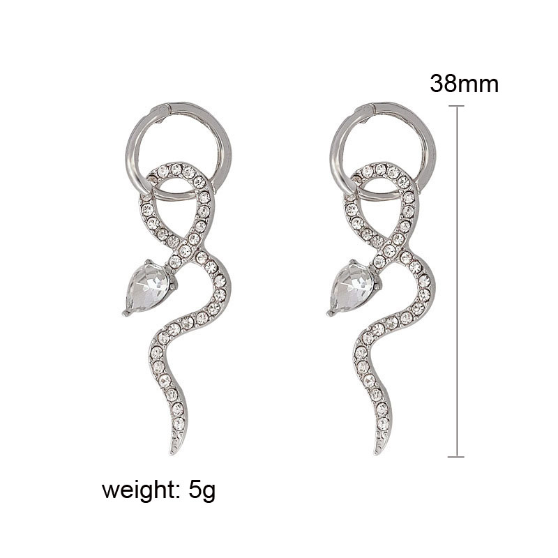 Korean version of personality net red temperament Hoop earrings 2021 new trendy snake jewelry female Women Earring