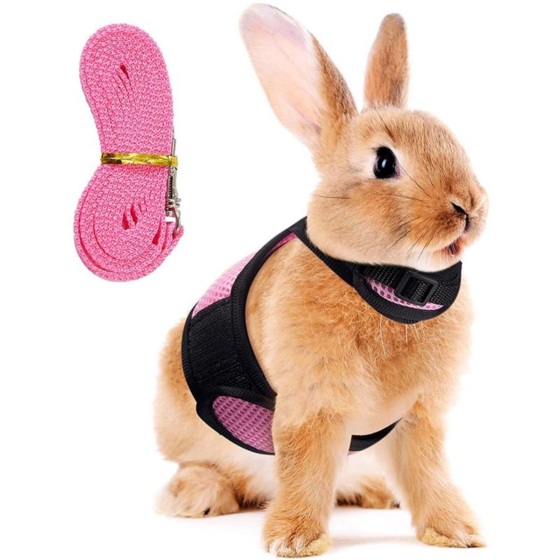 Dog Collars & Leashes Harness Lead Soft For Rabbits Mesh Hamster Vest With Elastic 
Dog Collars & Leashes Harness Lead Soft For Rabbits Mesh Hamster Vest With Elastic