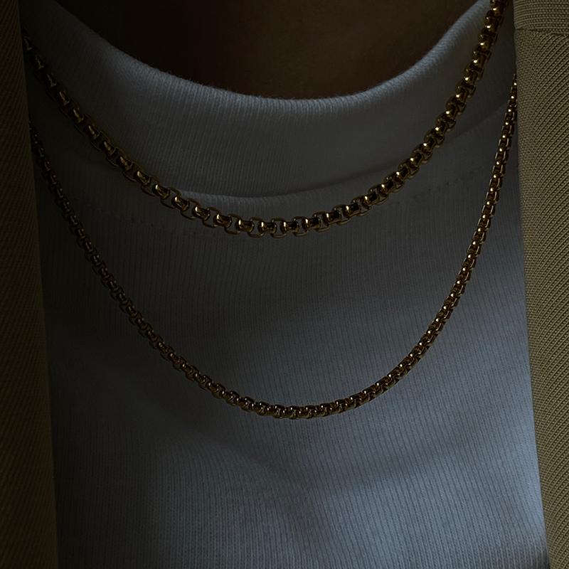 Chains ZJ All-matched Stainless Steel 2mm/3mm Thick Twisted Rope Chain Necklace Everyday Plain Snake Chokers Street Style Jewelry, Silver
Chains ZJ All-matched Stainless Steel 2mm/3mm Thick Twisted Rope Chain Necklace Everyday Plain Snake Chokers Street Style Jewelry, Silver
