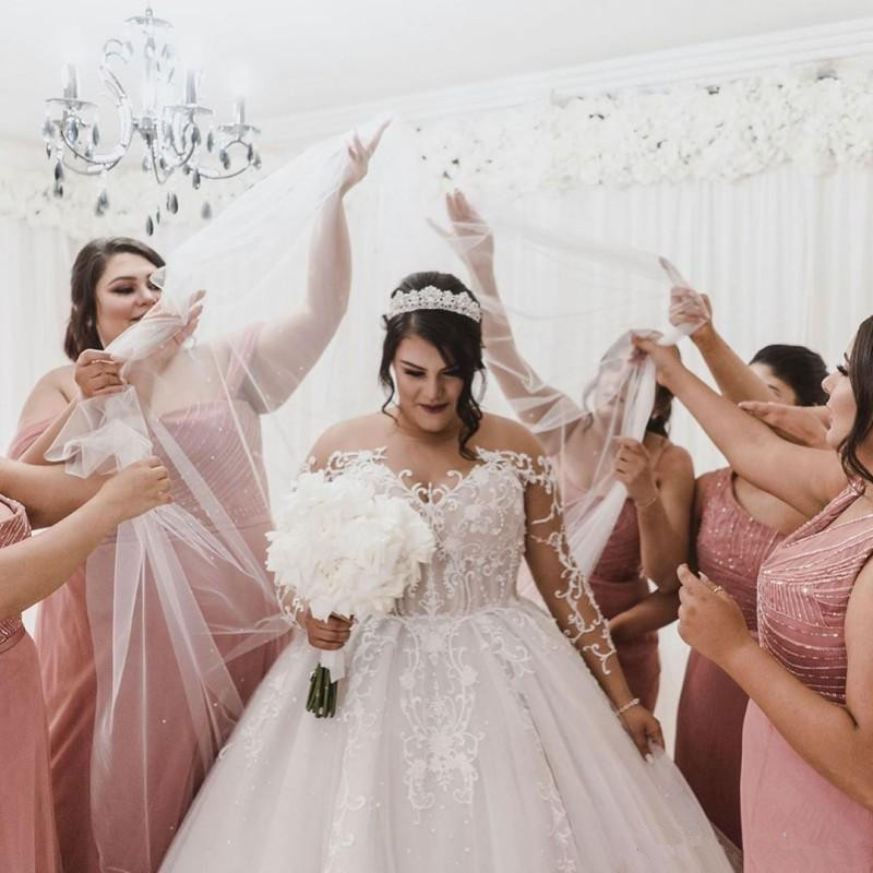 Plus Size Princess Wedding Dresses 2022 Modern Sheer Neck Long Sleeve Lace Applique Pearls Wedding Gown vestido de novia