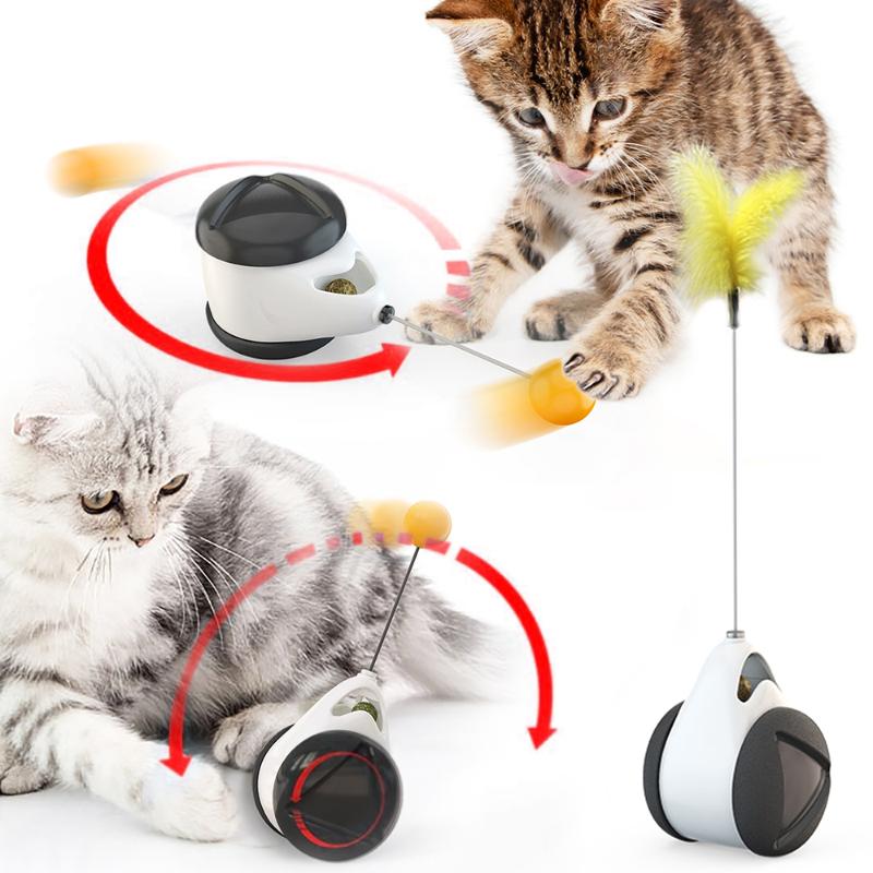 Cat Toys Tumbler Swing For Cats Kitten Interactive Balance Car Chasing Toy With Catnip Funny Pet Products Drop
Cat Toys Tumbler Swing For Cats Kitten Interactive Balance Car Chasing Toy With Catnip Funny Pet Products Drop
