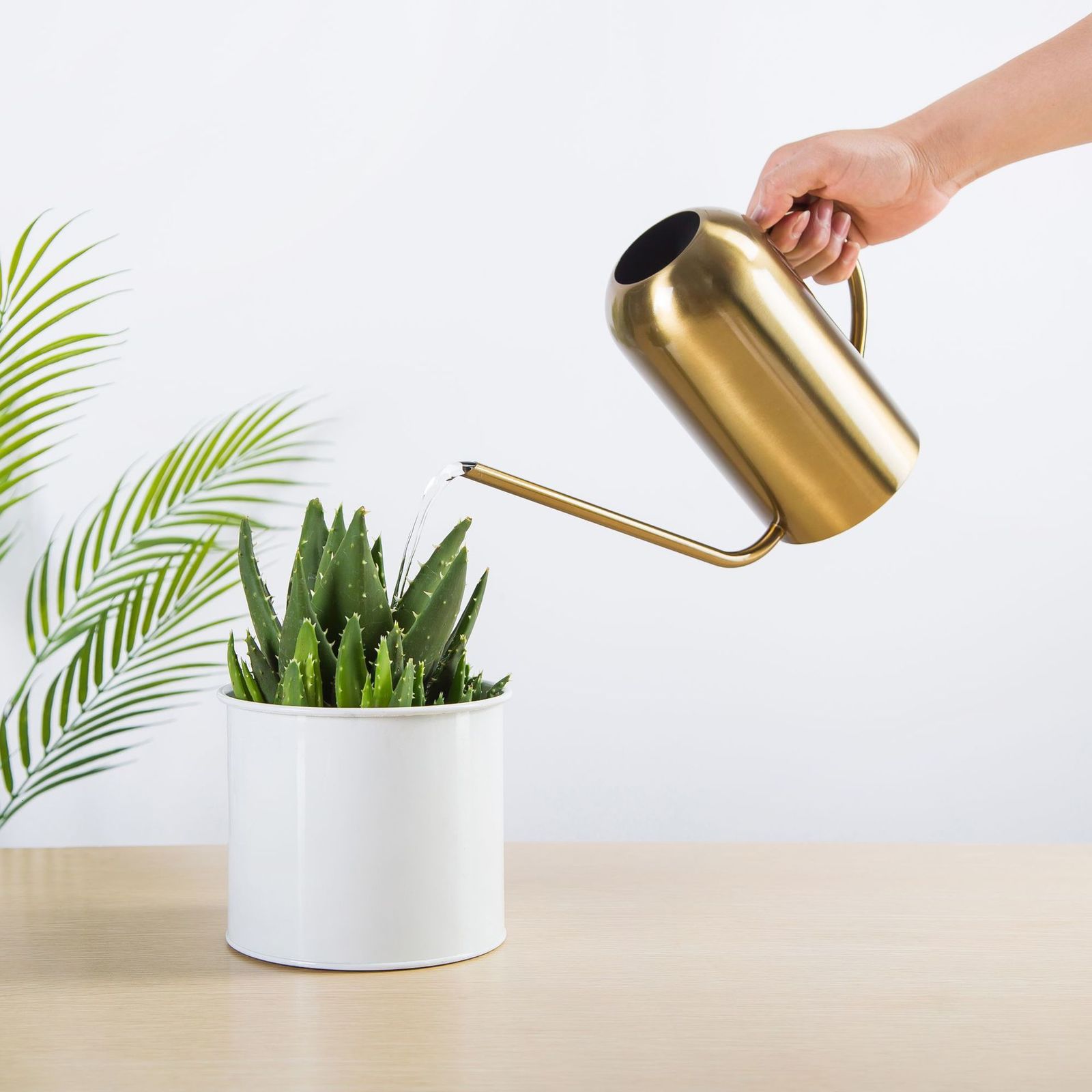2021 New Long Mouth Cans Holder Home Plant Pot Bottle Watering Device Meaty Bonsai Garden Tool Control Water Output Lbev
2021 New Long Mouth Cans Holder Home Plant Pot Bottle Watering Device Meaty Bonsai Garden Tool Control Water Output Lbev