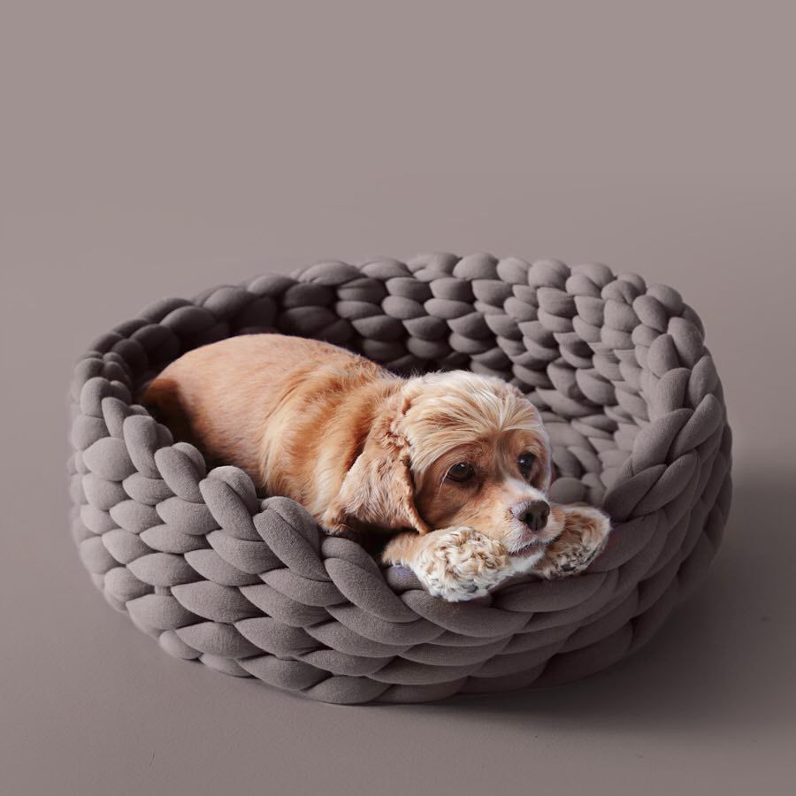 Pet Kenne Pet Dog Cat Hand-woven Bed Handmade Knit Nest House Puppy Kitten Cave Basket Seeping Bag Dogs Kenne pies, Blue
Pet Kenne Pet Dog Cat Hand-woven Bed Handmade Knit Nest House Puppy Kitten Cave Basket Seeping Bag Dogs Kenne pies, Blue