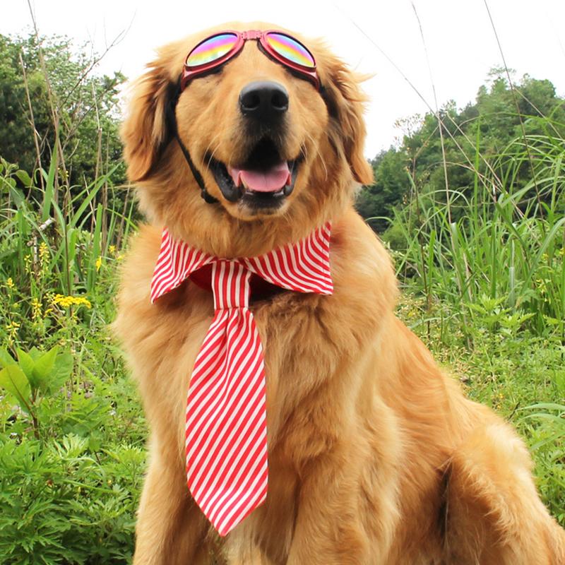 Dog Apparel TAILUP Fashion Accessories Pet Bow Tie For Golden Retriever Large And Medium Sized Dogs Stripe Adjustable Ties, Red
Dog Apparel TAILUP Fashion Accessories Pet Bow Tie For Golden Retriever Large And Medium Sized Dogs Stripe Adjustable Ties, Red