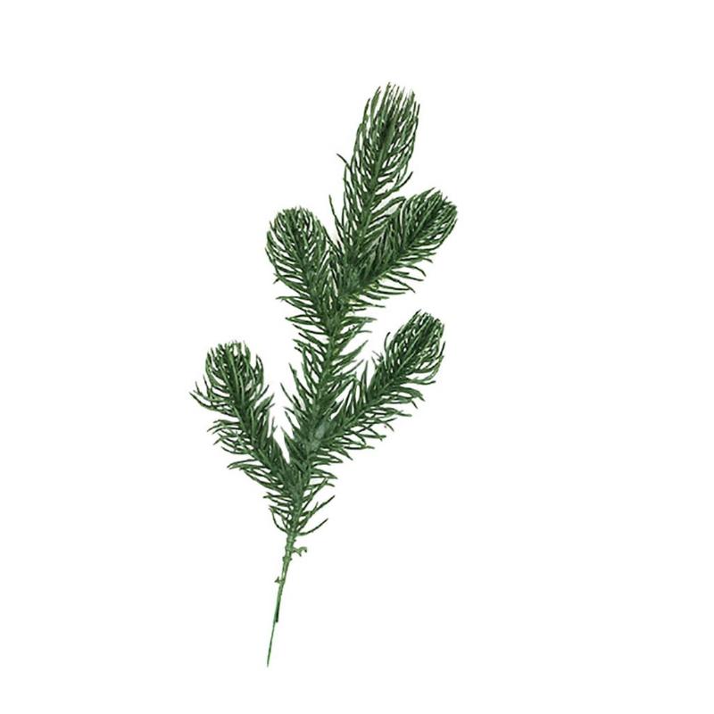 Christmas Pine Branches Lots Artificial Flowers Plastic Leaves Diy Fake Tree Party Decor Faux Foliage Xmas Ornaments #50g
Christmas Pine Branches Lots Artificial Flowers Plastic Leaves Diy Fake Tree Party Decor Faux Foliage Xmas Ornaments #50g