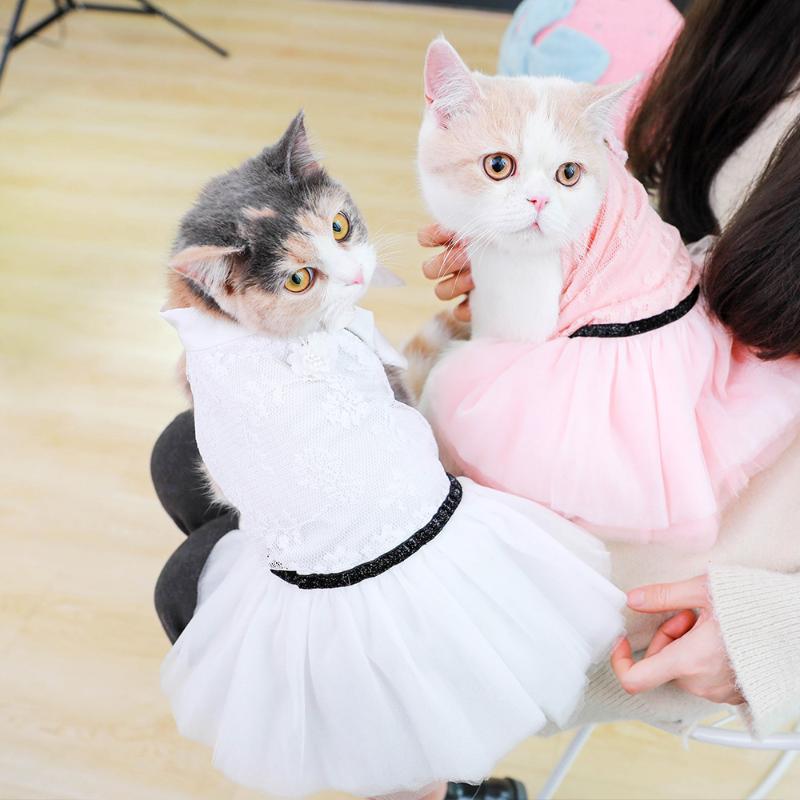 Cat Costumes Wedding Cats-clothes Costume Dress Cute Home Kitten Clothes Christmas Outfit Coat Ropa Para Gatos Pet Supplies OO50QZ
Cat Costumes Wedding Cats-clothes Costume Dress Cute Home Kitten Clothes Christmas Outfit Coat Ropa Para Gatos Pet Supplies OO50QZ