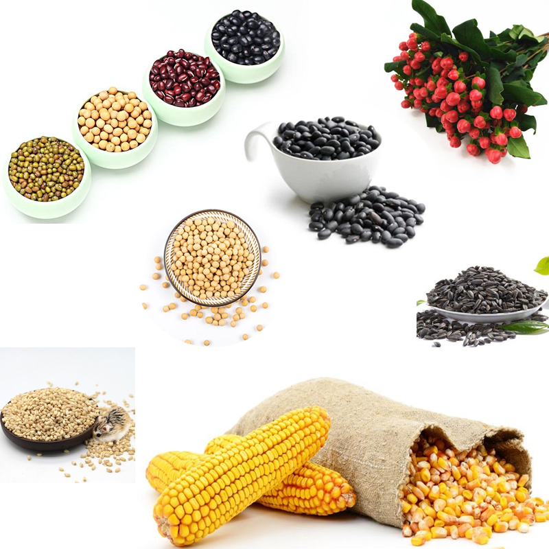 Small Vibrating Screening Machine Multifunctional Rice Corn Wheat Grain vibration Screen Household Electric filter Vibrat