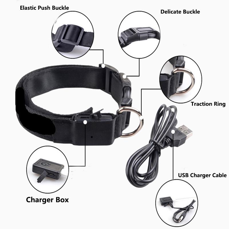Dog Collars & Leashes Pet LED Collar Harness Usb Rechargeable Luminous Night Glow Flashing XS-L