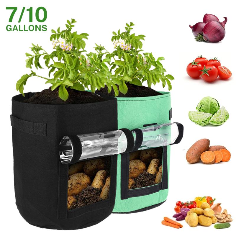 Plant Grow Bags Home Garden Potato Pot Greenhouse Vegetable Growing Moisturizing Jardin Vertical Bag Tools Planters & Pots
Plant Grow Bags Home Garden Potato Pot Greenhouse Vegetable Growing Moisturizing Jardin Vertical Bag Tools Planters & Pots