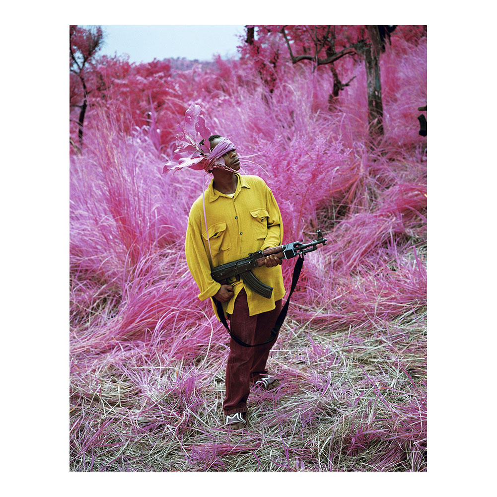 Richard Mosse Photography Birdland web Poster Painting Print Home Decor Framed Or Unframed Photopaper Material