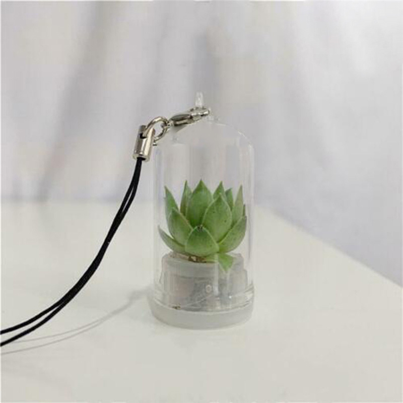 2PCs Random Mini Succulent Cactus Plant Keyring Charm Green Fleshy Plant Pendant Keychain with Glass Cover Craft Gifts for Women