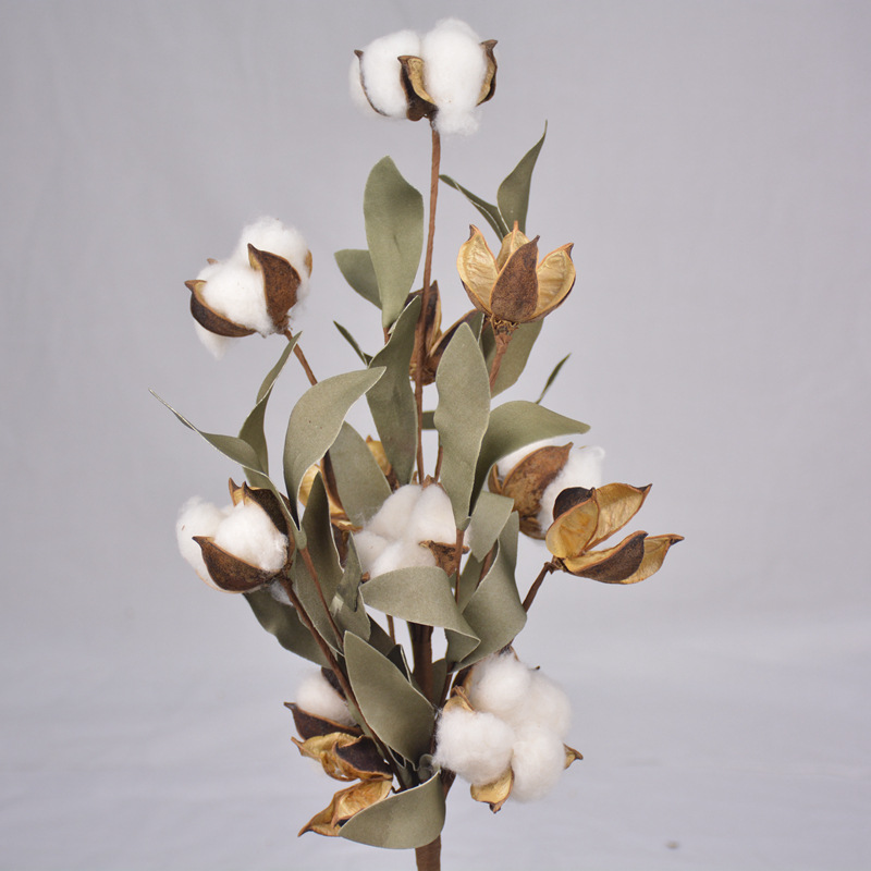 7Bas per Stem Cotton Naturay Dried Cotton Fowers Artificia Pants Fora Branch for Wedding Decoration Fake dried Fowers, 7 balls
7Bas per Stem Cotton Naturay Dried Cotton Fowers Artificia Pants Fora Branch for Wedding Decoration Fake dried Fowers, 7 balls