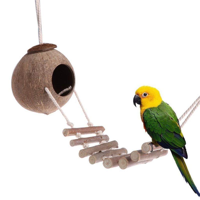 Cute Comfortable Design Natural Coconut Shell Bird Nesting House Small Size Pet Parakeet Finche Sparrows Cage With Ladder Cages
Cute Comfortable Design Natural Coconut Shell Bird Nesting House Small Size Pet Parakeet Finche Sparrows Cage With Ladder Cages