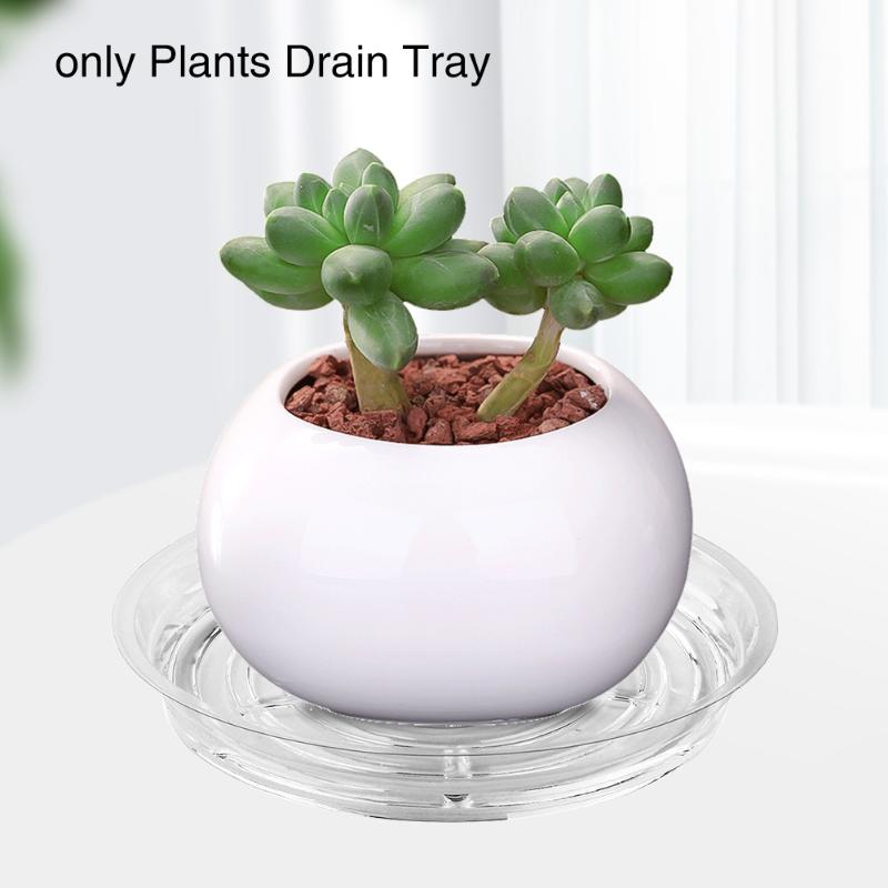 39pcs/set Flower Pot Clear Base Outdoor Gardening Tools Water Plants Drain Tray Drip Tags Accessory Indoor Hydroponic Saucer Planters & Pots
39pcs/set Flower Pot Clear Base Outdoor Gardening Tools Water Plants Drain Tray Drip Tags Accessory Indoor Hydroponic Saucer Planters & Pots