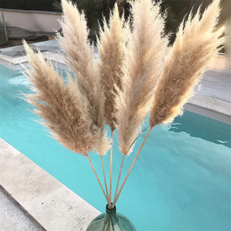 100pcs Wedding Flowers Pampas Grass Large Size Fluffy For Home Christmas Decor Natural Plants White Dried Flower Decorative & Wreaths