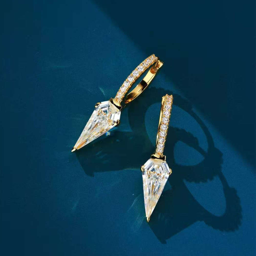 HBP Light luxury S925 silver punk ins wind inlaid diamond earrings design feeling long shield for women
HBP Light luxury S925 silver punk ins wind inlaid diamond earrings design feeling long shield for women