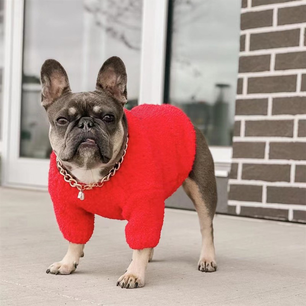 Designer Pet Dog Cothes for Sma Dogs Cothing Chihuahua French Budog Sweater for Yorkies Dog Accessories Pug Coat PC1166, Red
Designer Pet Dog Cothes for Sma Dogs Cothing Chihuahua French Budog Sweater for Yorkies Dog Accessories Pug Coat PC1166, Red