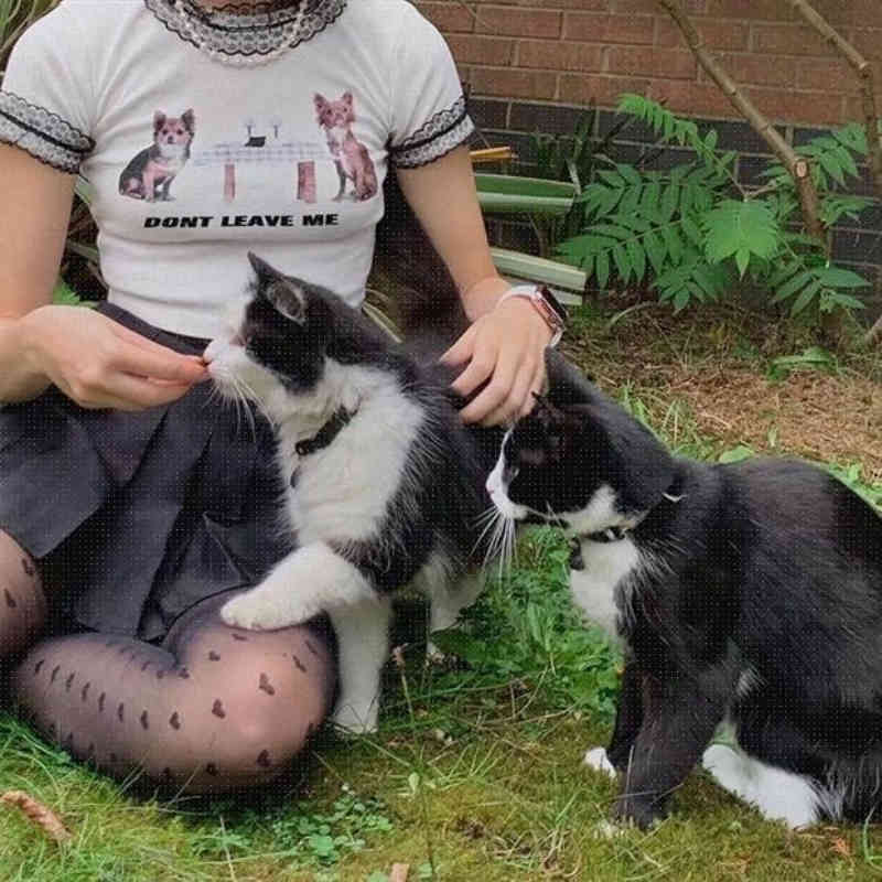 Casual Woman Beige Lace Patchwork Short T-Shirt Spring Fashion Ladies Slim Soft Printed Tops Girls Cute Streetwear Top 210515