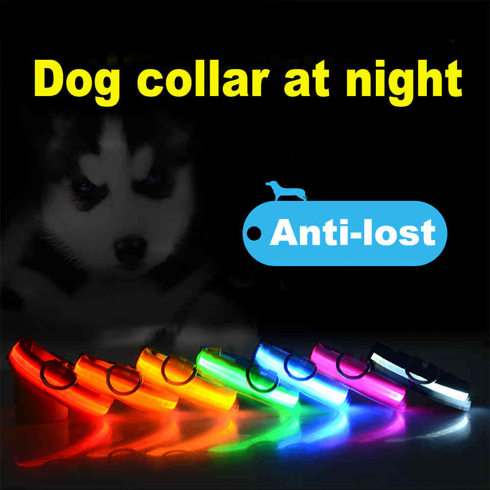 LED Dog Collar With USB Charging Anti-Lost Colorful Lights Collars For Puppy Kitten Dogs Collars Leads LED Supplies Pet Products